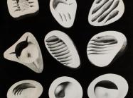 grid of 9 white organic, shell-shaped Isamu Noguchi ashtrays