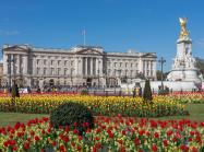 Photograph of Buckingham Palace from gardens, London, UK, 2014.