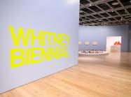 nstallation view of Whitney Biennial 2026 Photograph by Darian DiCanno/BFA.com. © BFA 2026