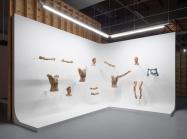 Installation view of "Incarnador" series