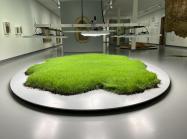 Farming Textiles installation, Museum Kranenburgh, Bergen, Netherlands, 2024.