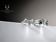 AWNL Interstellar Meteorite Rings. PR Image