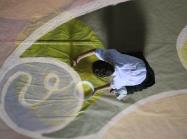 A scene from Beyond the Visible-Hilma AF Klint, a film by Halina Dryschka.