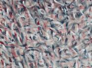 Charles K. Williams, Valcanoes Fault Lines Tunnels, 52 x 52 in.