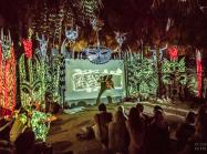 Performance, Carlito Dalceggio, Art with me, Tulum, 2018