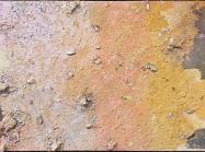 Stanley Boxer (Estate), Enchantingcalm, 1995, Oil and mixed media on canvas
