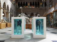 Damien Hirst, Cain and Abel, pictured in the Oxford University Museum of Natural History