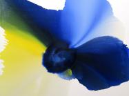 Bassmi Ibrahim's Isness 154