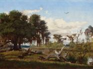 Everett B. D. Fabrino Julio, Life Along a Louisiana Bayou, 1877
