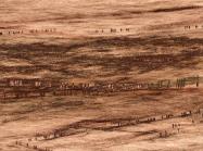 Michal Rovner, detail of Earth People, 2021.