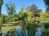 Monet’s Garden in Giverny, View of the Water Lily Pond
