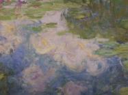 water lillies detail