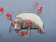 Seven Silent Songs Video Still Manatee and Jelly Fish Drawing