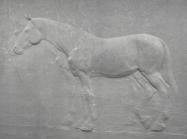 Charles Ray sculpture Two Horses bas relief in Granite, The ten-by-fourteen-foot granite relief by the acclaimed artist portrays two horses in profile, one fully articulated and a second figure behind it that is partially seen, evoking a ghost-like presence