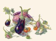 Eggplant- Jean Emmons, “Eggplants,” watercolor on vellum, 2020.