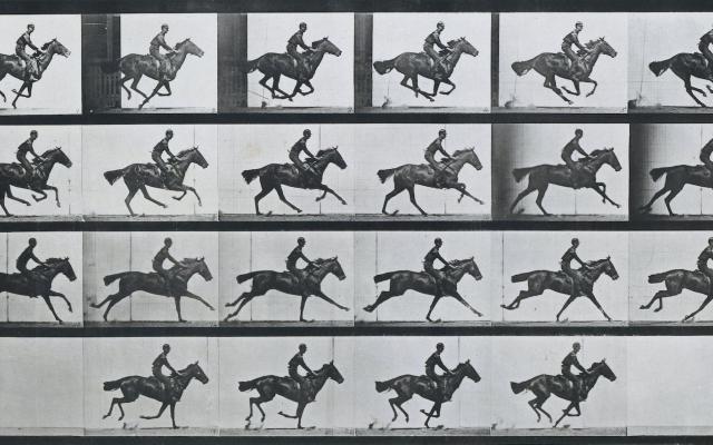 Reframed: Eadweard Muybridge's 