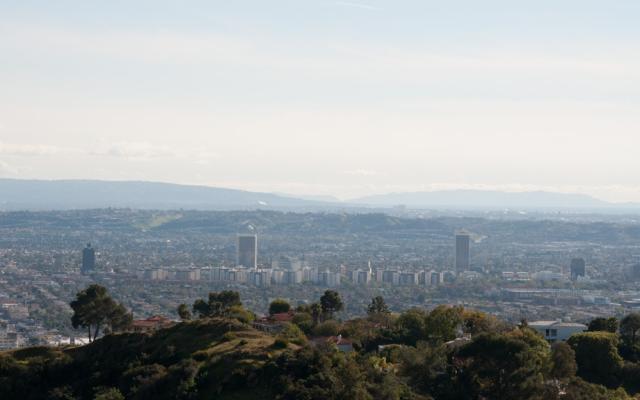 How LACMA Is Centering Curation Around Cross-Cultural Exchange