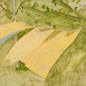 Three Yellow Curtains Blowing, c. 1980, oil on Masonite, 16 1/4 x 18 3/4 inches 