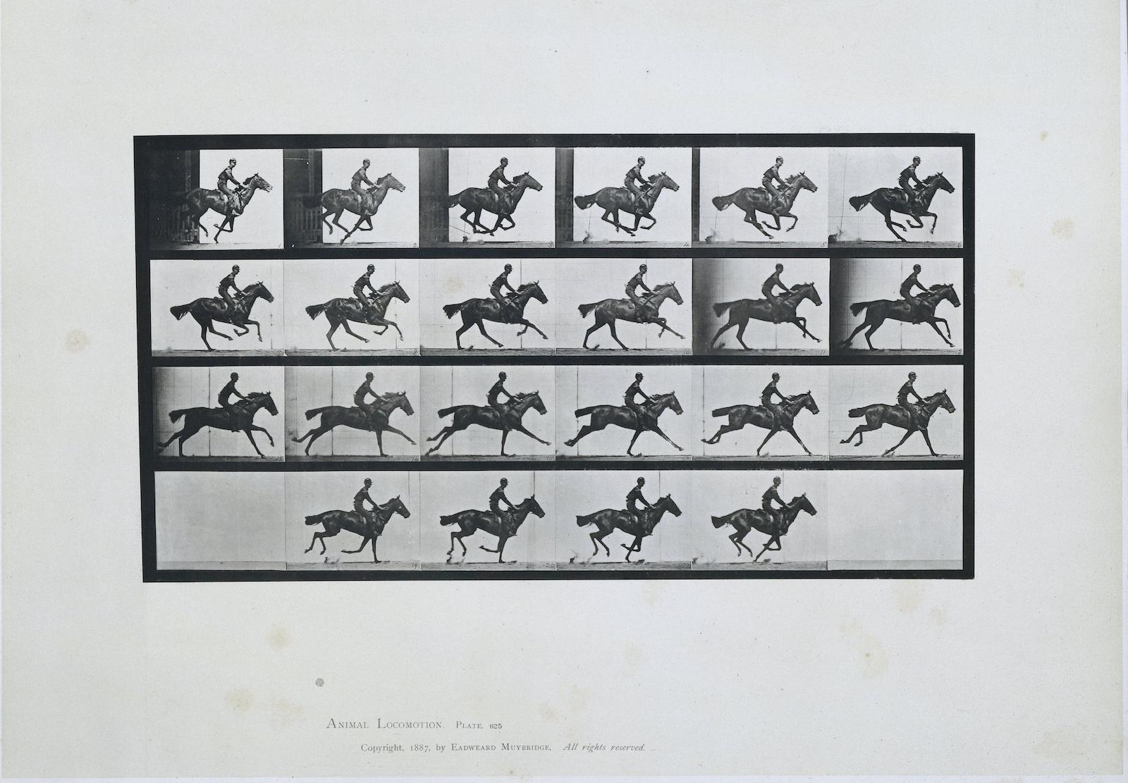 Reframed: Eadweard Muybridge's 