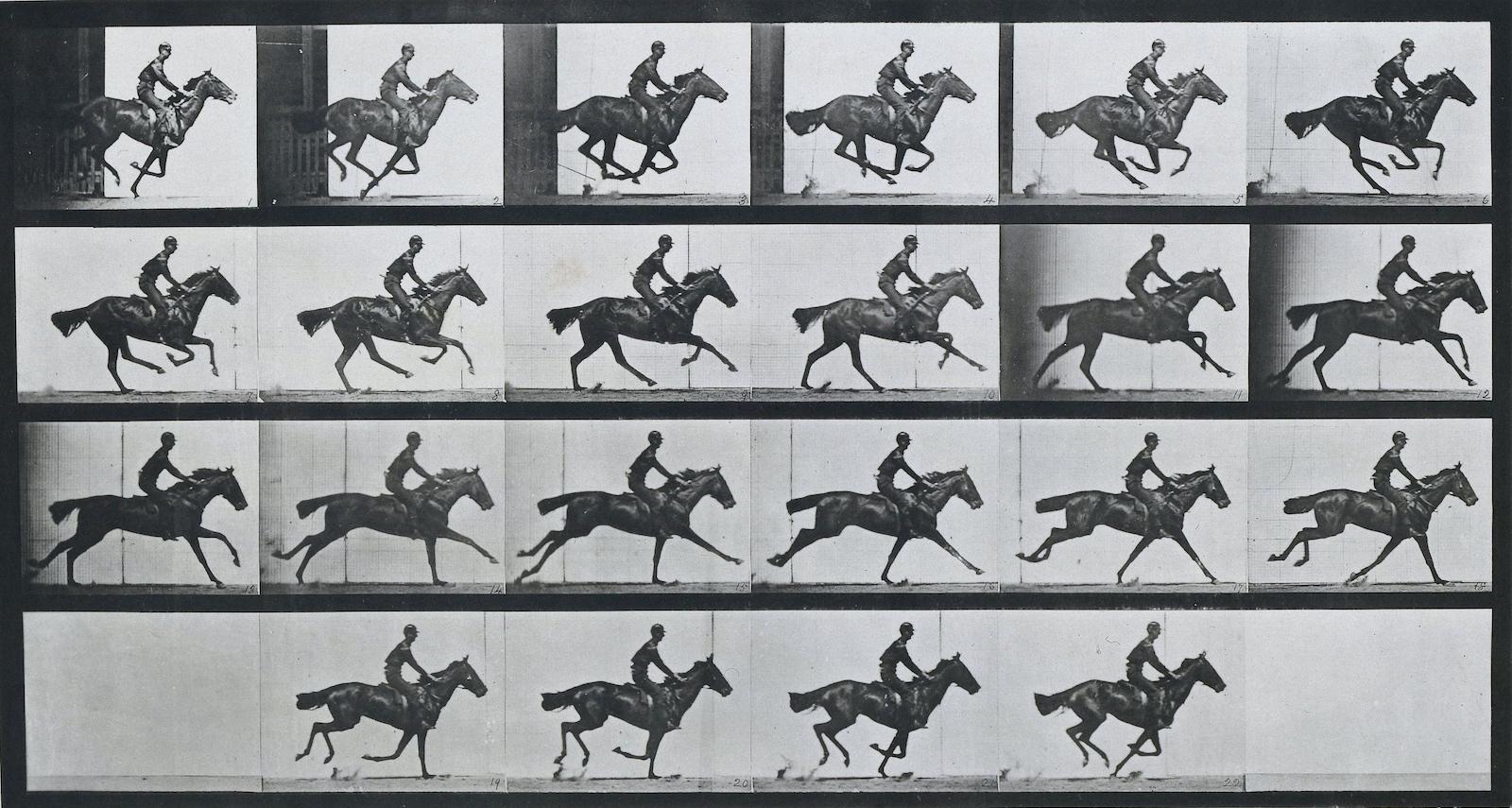 Reframed: Eadweard Muybridge's 