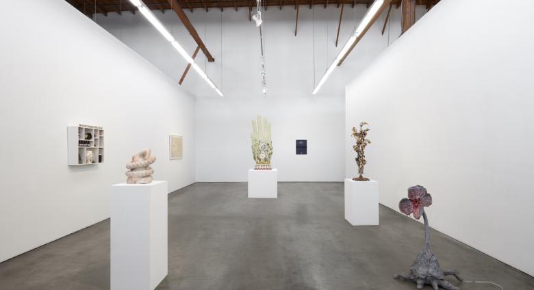 Installation view of Materia Medica at François Ghebaly.