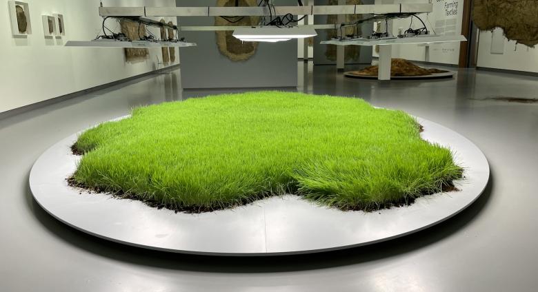 Farming Textiles installation, Museum Kranenburgh, Bergen, Netherlands, 2024.
