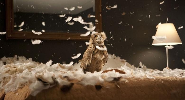 Doug Aitken film still showing an owl in a storm of feathers on a bed in a hotel room