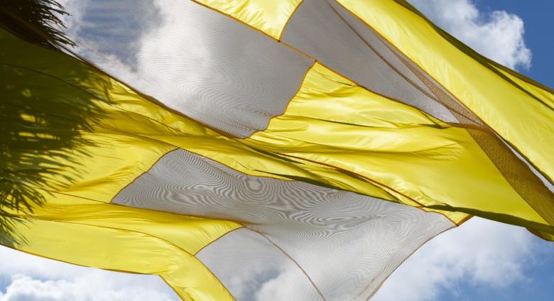 Felecia Chizuko Carlisle, My Vessel is Healthy and I Request Free Practique, 2019