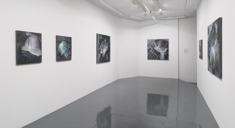 Installation view of Bea Scaccia: With their Striking Features, 2022 at  JDJ Tribeca.