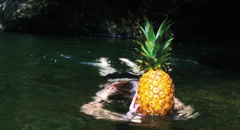 Laure Prouvost, Swallow, 2013