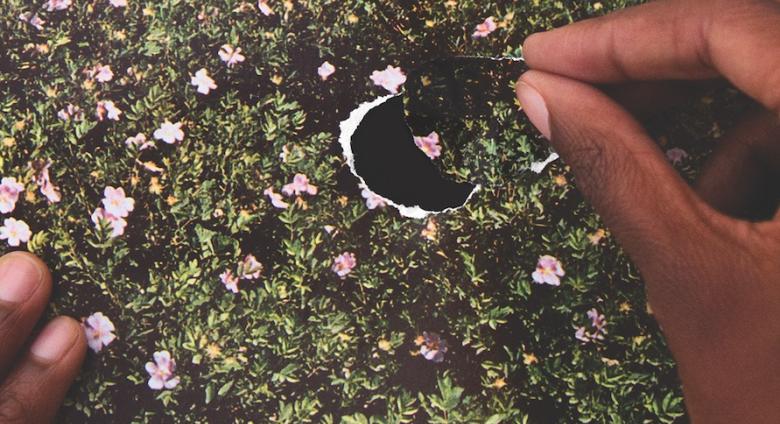 Dionne Lee photograph