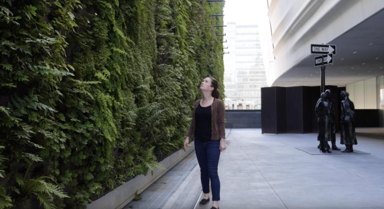 woman looks at SFMOMA Living Wall