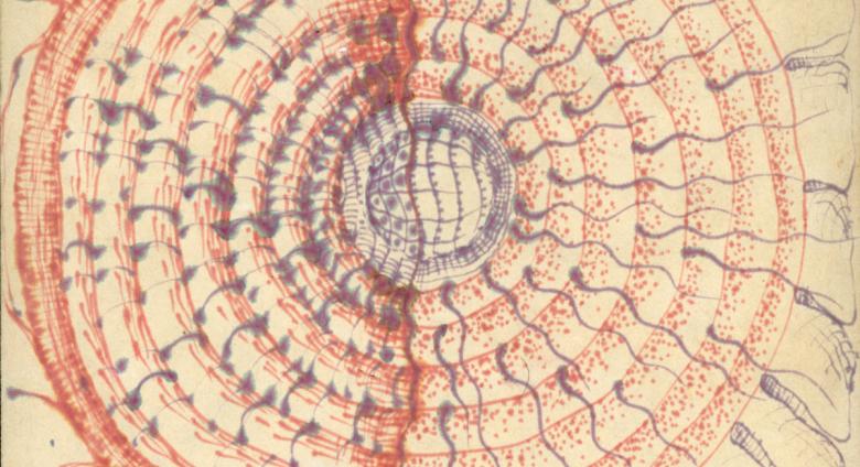 Jordan Belson Brain Drawing, 1952 Ink on paper 7 13/16 x 7 13/16 inches (19.8 x 19.8 cm) Estate of Jordan Belson, Courtesy Matthew Marks Gallery