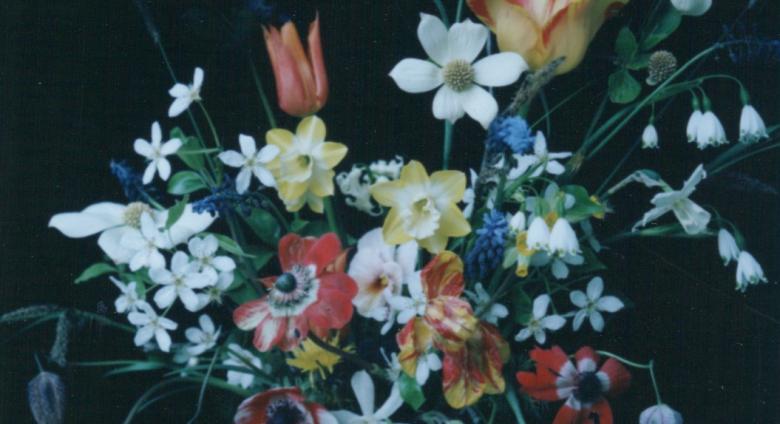 Siri Thorson, Polaroid from the series Portrait of the San Juan Islands