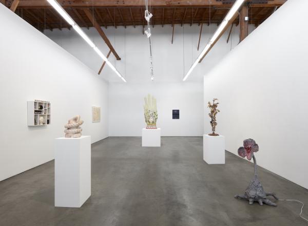 Installation view of Materia Medica at François Ghebaly.