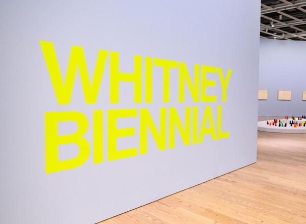 nstallation view of Whitney Biennial 2026 Photograph by Darian DiCanno/BFA.com. © BFA 2026