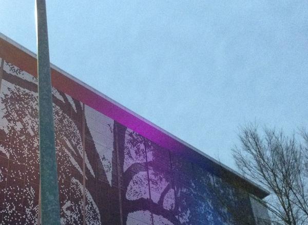 The aluminum “Shimmer Wall” displayed on the side of the Raleigh Convention Center depicting a large oak tree.