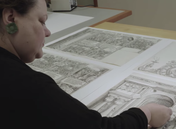 conservator studies several prints