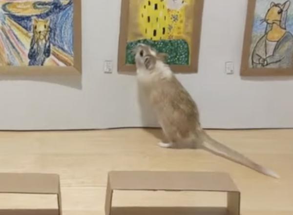 Gerbils look at fake art