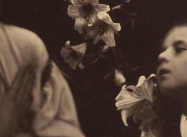 Julia Margaret Cameron, A Study, 1865-66. Albumen silver print from glass negative. 34.4 x 26.4 cm (13 9/16 x 10 3/8 in.). Courtesy of The Metropolitan Museum of Art, New York. 1990.1074.3