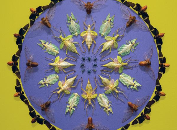 Jennifer Angus insect wallpaper installed at Museum of Fine Arts, St. Petersburg.