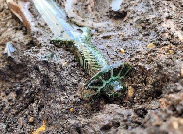 In June, German archeologists found a fully intact Bronze Age (14th century BCE) sword in Nördlingen, Germany.