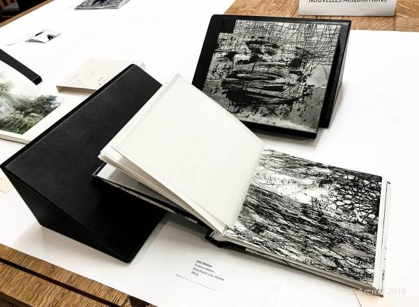 Artists’ books from the collections of the Bibliothèque et Archives nationales du Québec