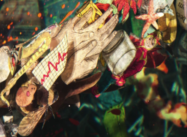 Close up short of Yellin's art