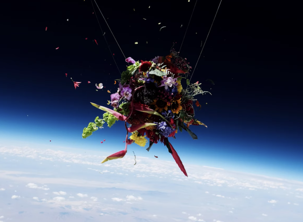 flowers floating in space above the earth