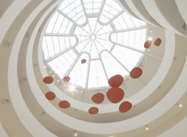 Looking up at Red Lilly pads in museum