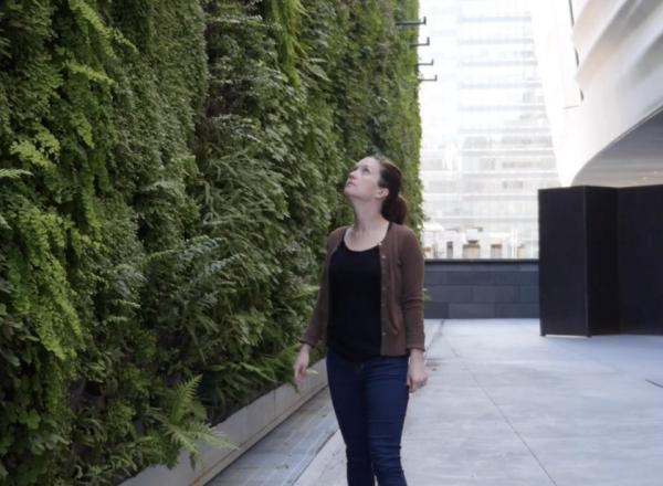 woman looks at SFMOMA Living Wall