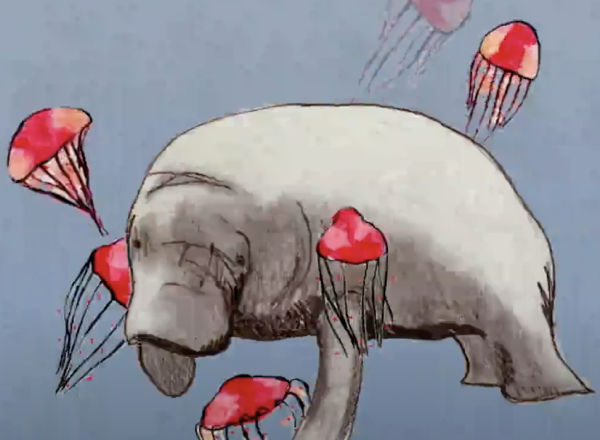 Seven Silent Songs Video Still Manatee and Jelly Fish Drawing