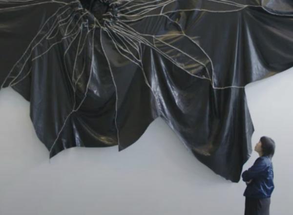 Curator Looks at Succulent artwork