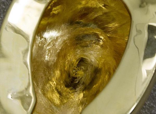 Maurizio Cattelan's America, installed at the Solomon R. Guggenheim Museum, New York, September 15, 2016–September 15, 2017